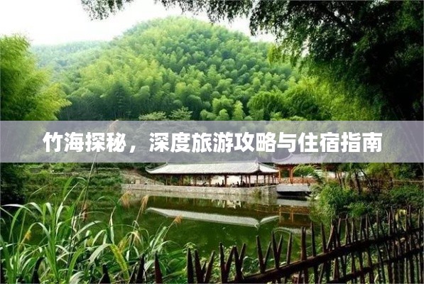 竹海探秘，深度旅游攻略与住宿指南
