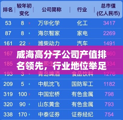 威海高分子公司产值排名领先，行业地位举足轻重