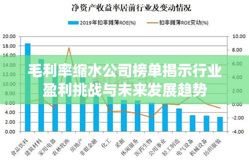 毛利率缩水公司榜单揭示行业盈利挑战与未来发展趋势