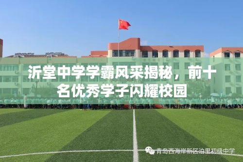 沂堂中学学霸风采揭秘，前十名优秀学子闪耀校园