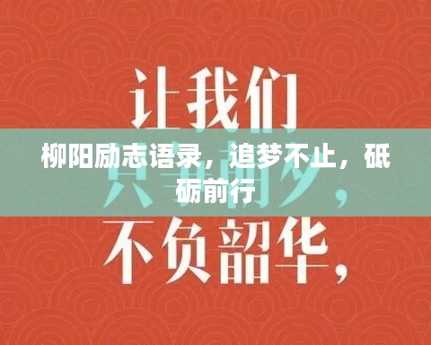 柳阳励志语录，追梦不止，砥砺前行