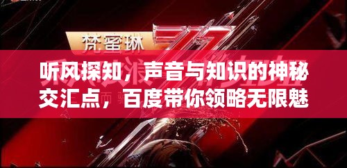 听风探知，声音与知识的神秘交汇点，百度带你领略无限魅力