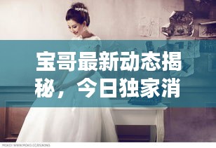 宝哥最新动态揭秘，今日独家消息速递