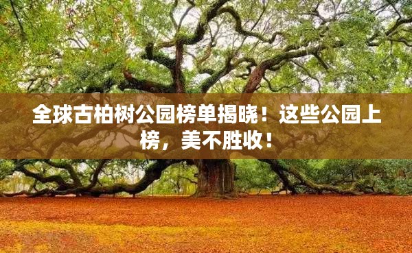 全球古柏树公园榜单揭晓！这些公园上榜，美不胜收！