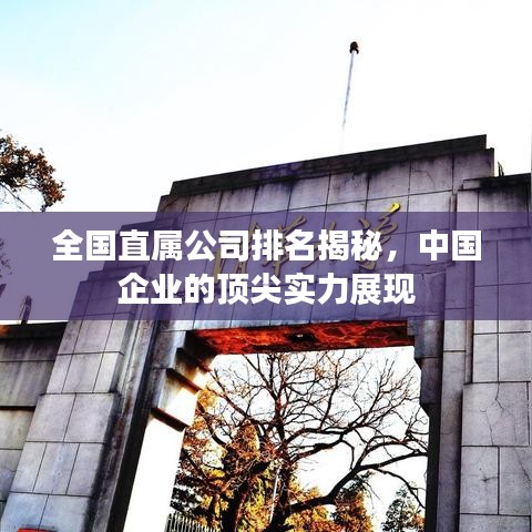 全国直属公司排名揭秘，中国企业的顶尖实力展现