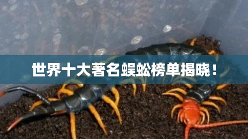 世界十大著名蜈蚣榜单揭晓！