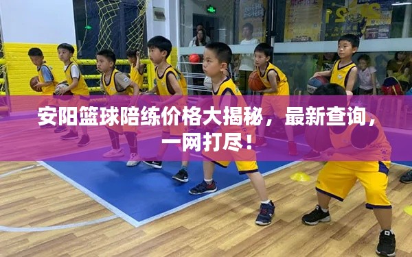 安阳篮球陪练价格大揭秘，最新查询，一网打尽！