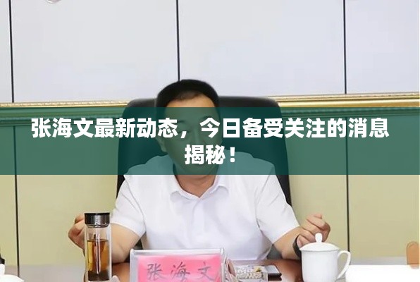 张海文最新动态，今日备受关注的消息揭秘！