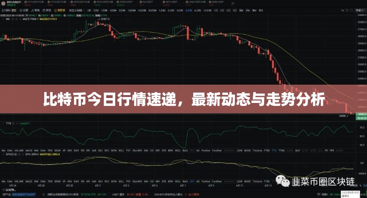 精雕细刻 第2页