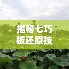揭秘七巧板还原技巧，轻松掌握复原秘籍