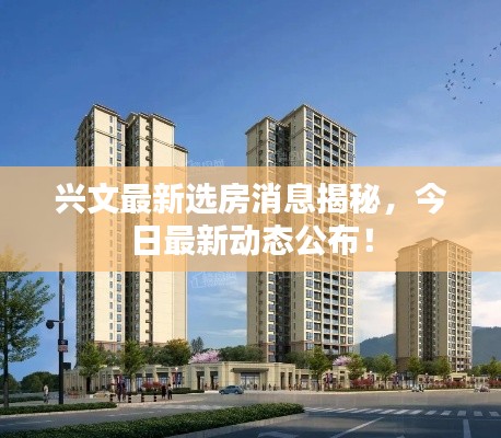 兴文最新选房消息揭秘，今日最新动态公布！