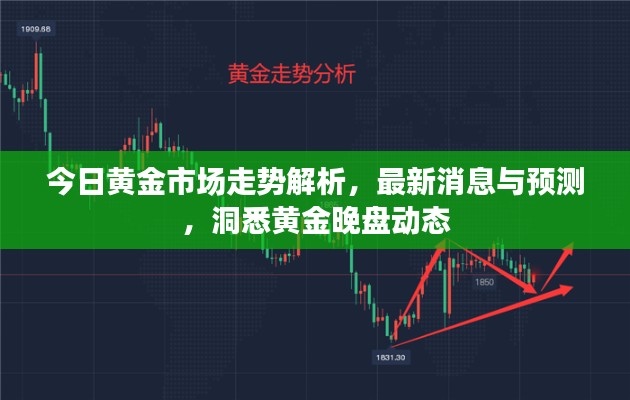 百鸟争鸣 第2页