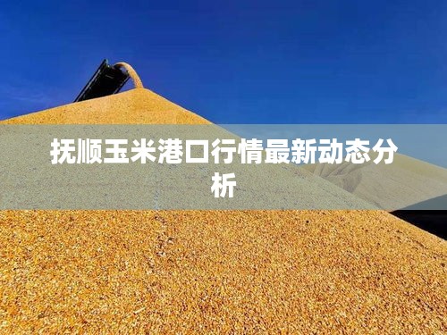 抚顺玉米港口行情最新动态分析