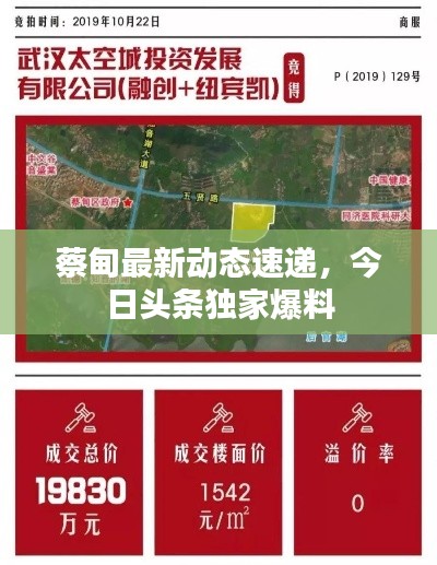 蔡甸最新动态速递，今日头条独家爆料