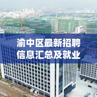衣不兼彩 第2页