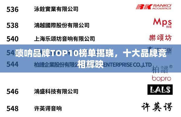 唢呐品牌TOP10榜单揭晓，十大品牌竞相辉映