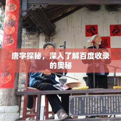 唐字探秘，深入了解百度收录的奥秘