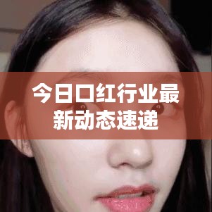 今日口红行业最新动态速递