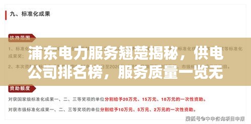 浦东电力服务翘楚揭秘，供电公司排名榜，服务质量一览无余