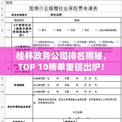 桂林政务公司排名揭秘，TOP 10榜单重磅出炉！