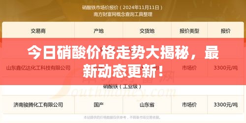 今日硝酸价格走势大揭秘，最新动态更新！