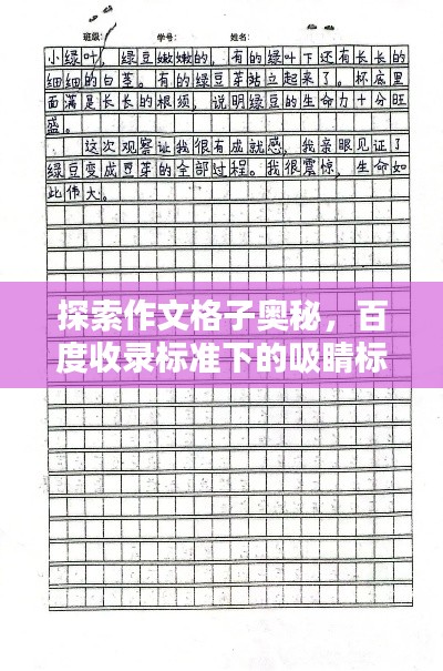 探索作文格子奥秘，百度收录标准下的吸睛标题创作