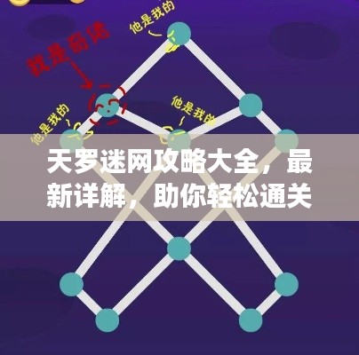 天罗迷网攻略大全，最新详解，助你轻松通关！