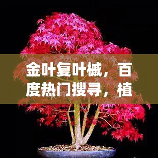 大惊失色 第2页