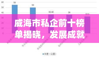 威海市私企前十榜单揭晓，发展成就瞩目，私营企业的辉煌闪耀城市之光