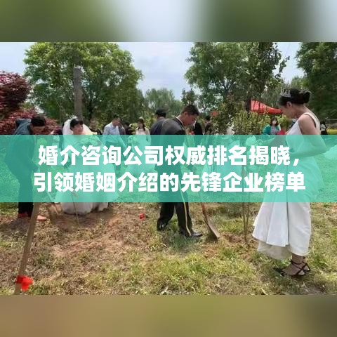 婚介咨询公司权威排名揭晓，引领婚姻介绍的先锋企业榜单探索