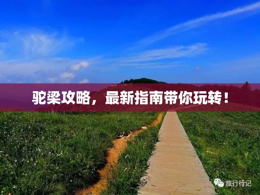 驼梁攻略，最新指南带你玩转！