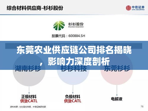 东莞农业供应链公司排名揭晓，影响力深度剖析