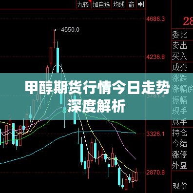 甲醇期货行情今日走势深度解析
