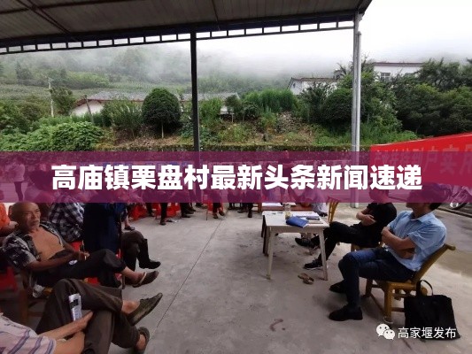 雅人清致 第2页
