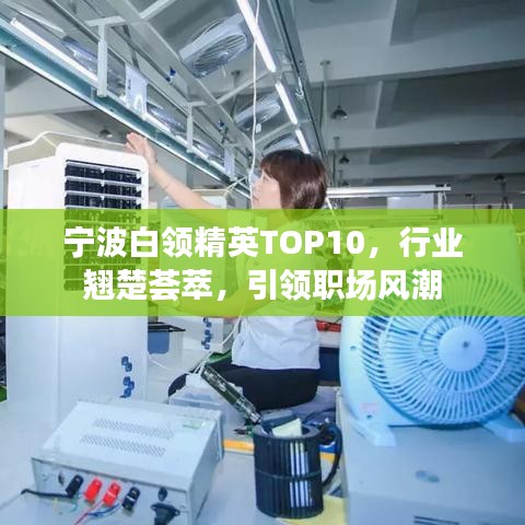 宁波白领精英TOP10，行业翘楚荟萃，引领职场风潮