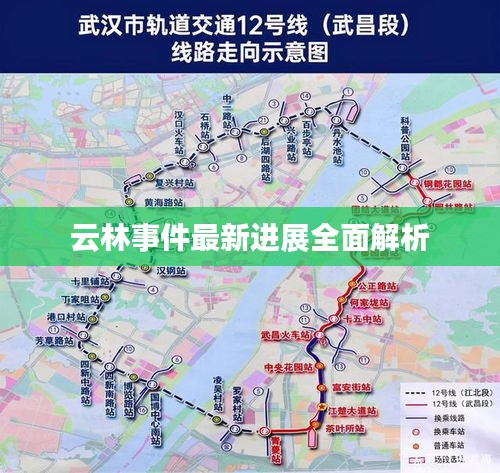 云林事件最新进展全面解析