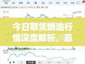 今日期货燃油行情深度解析，最新动态一览