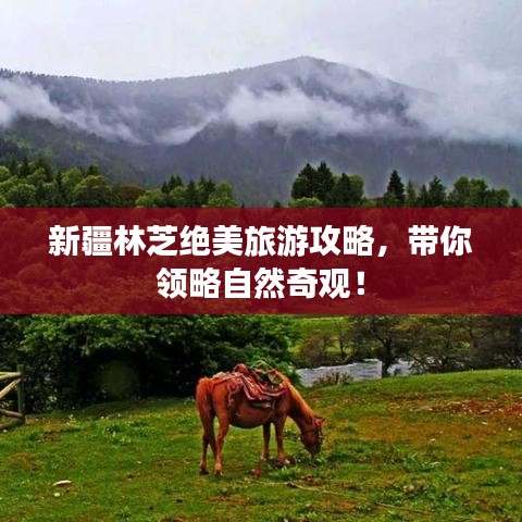 新疆林芝绝美旅游攻略，带你领略自然奇观！