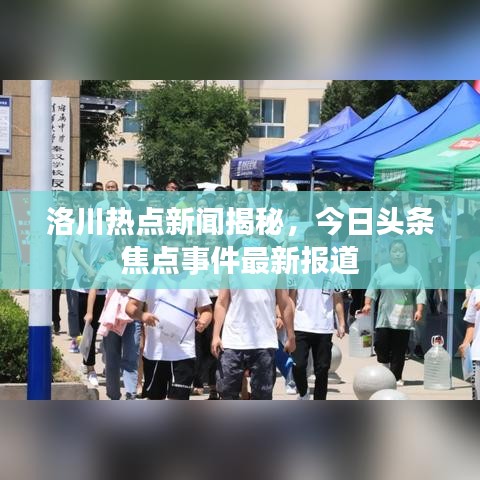 候鸟南飞 第2页