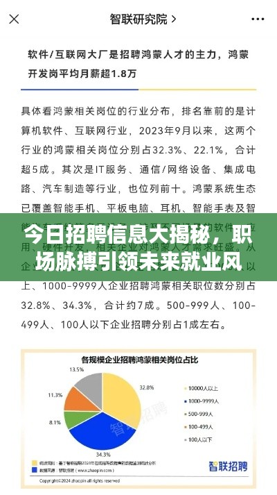 今日招聘信息大揭秘，职场脉搏引领未来就业风向标