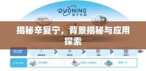 揭秘辛复宁，背景揭秘与应用探索