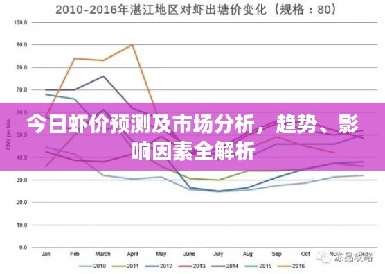 今日虾价预测及市场分析，趋势、影响因素全解析