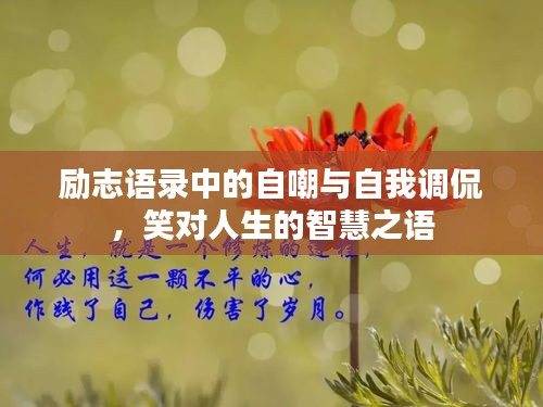 励志语录中的自嘲与自我调侃，笑对人生的智慧之语