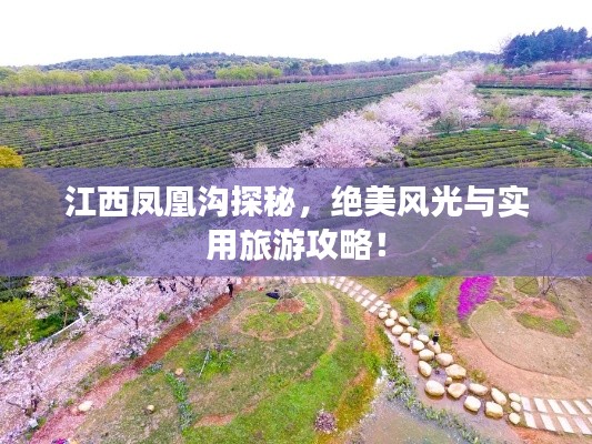江西凤凰沟探秘，绝美风光与实用旅游攻略！