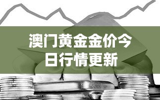 澳门黄金金价今日行情更新