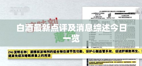 白酒最新点评及消息综述今日一览