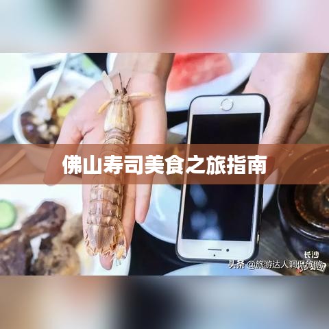 佛山寿司美食之旅指南