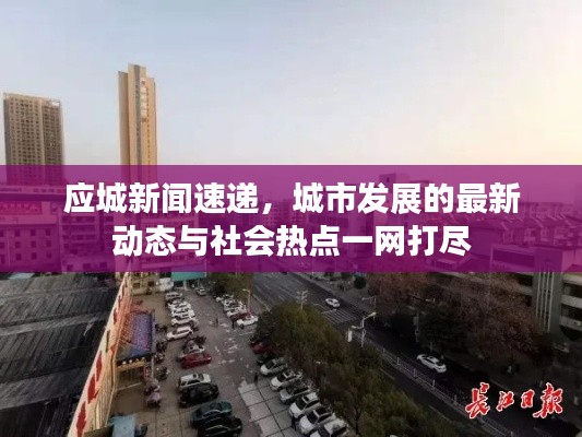 应城新闻速递，城市发展的最新动态与社会热点一网打尽