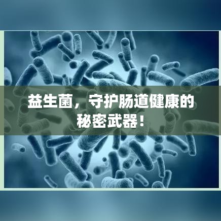 益生菌，守护肠道健康的秘密武器！
