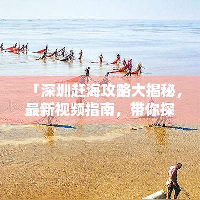 「深圳赶海攻略大揭秘，最新视频指南，带你探索海洋宝藏！」
